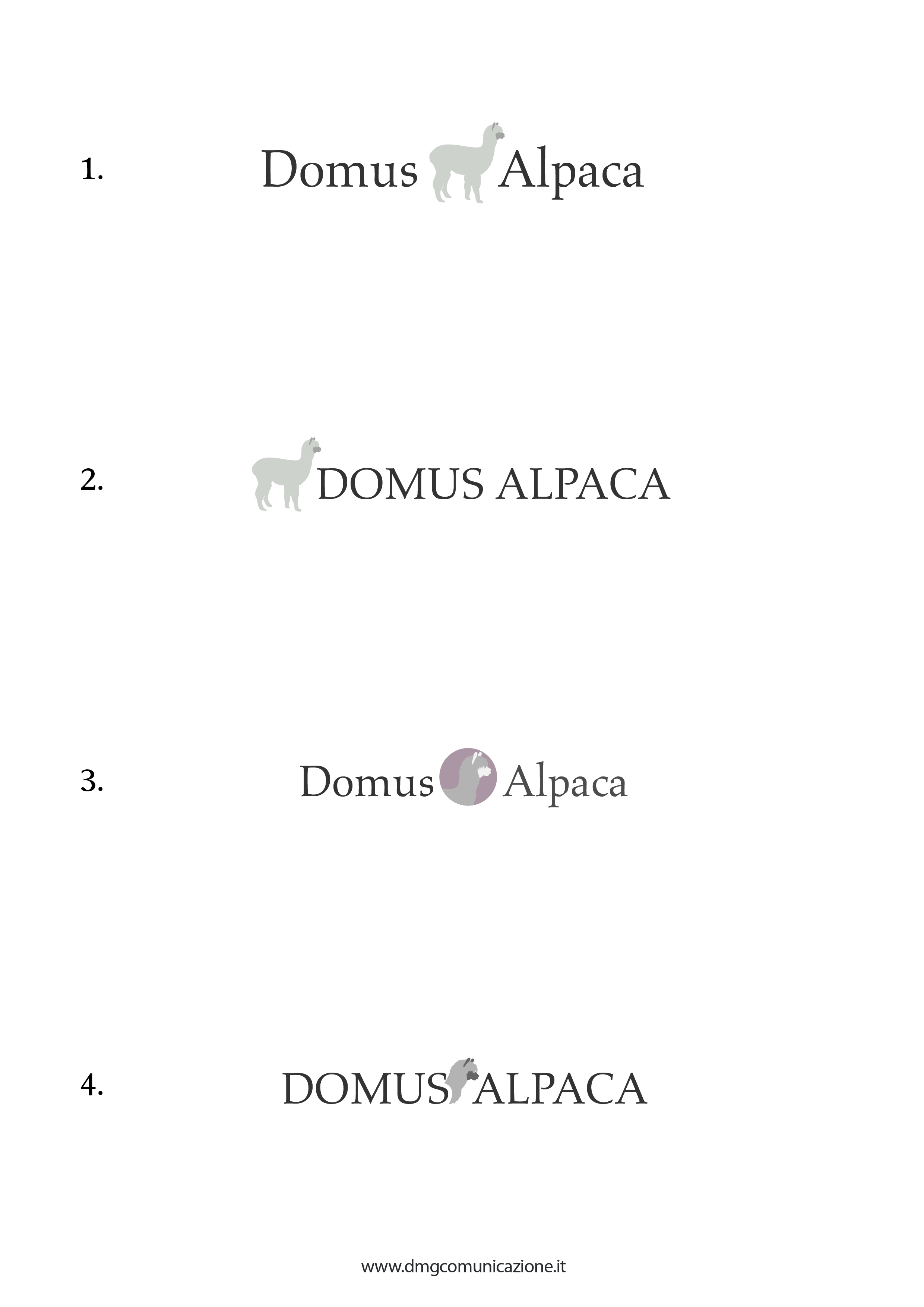 Domus Alpaca: rebranding